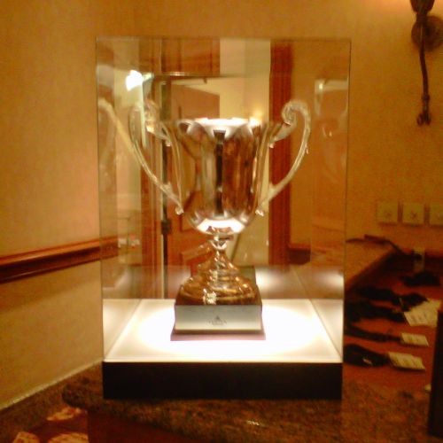 A trophy is displayed in the middle of a room.