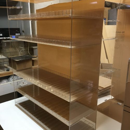 A display case with several shelves and one of the shelves is empty.