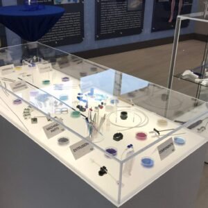 IMG_1531 A display case with many different items on it.
