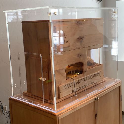 A wooden cabinet with a glass top and a small box on it.