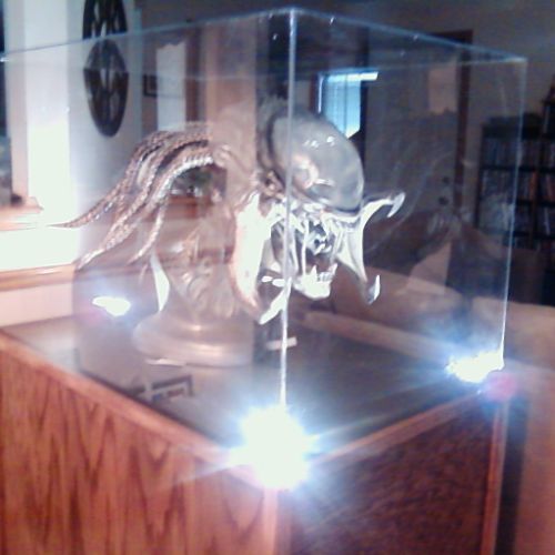 A display case with two skulls and one bird.