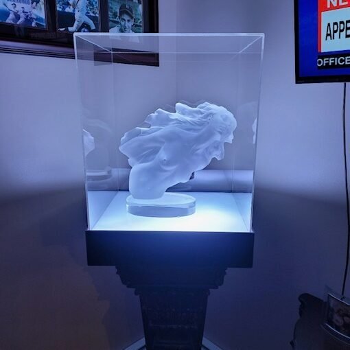 image0 (5bffc895-dd52-4600-967e-dc02ec165239) A glass display case with a white statue in it.