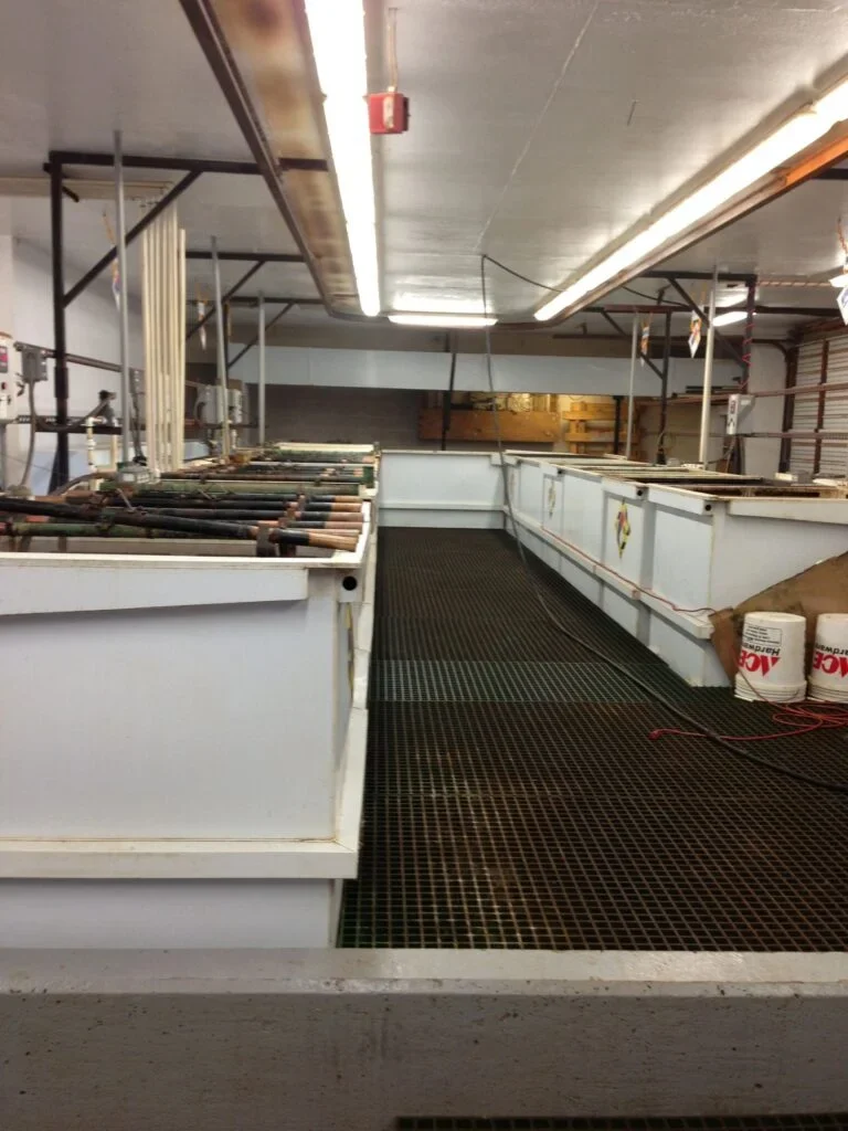 iphoine-pic-10-3-517-768x1024